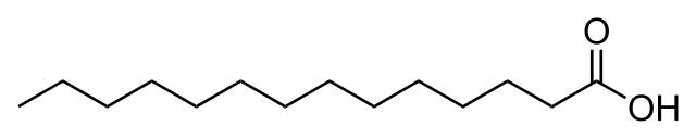 Molecular structure of ethyl myristate