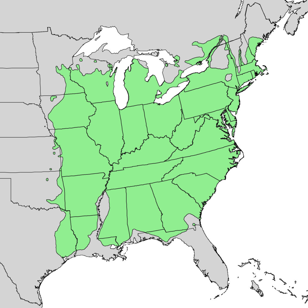 North American Range of Quercus Alba (American white oak)
